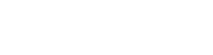 NodeFleet Logo